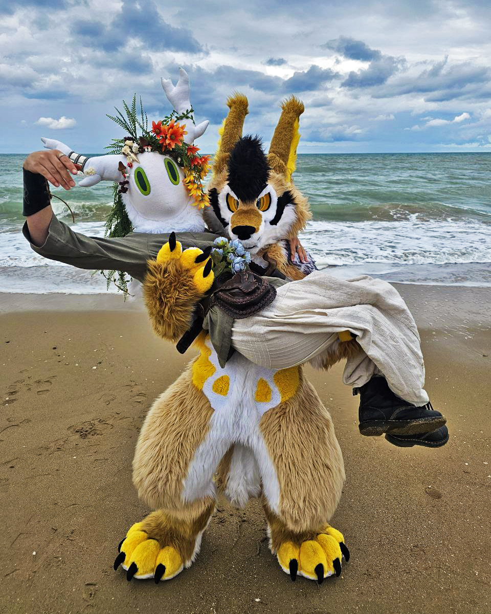 I found a kawaii creature ! 🐻‍❄️<a href="/danessee/">Luka #FBL13</a> 

#FursuitFriday
📷 Komet