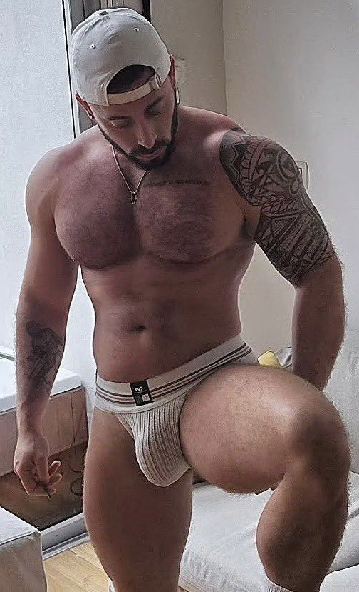 Boxertrunks (@boxertrunks) on Twitter photo 