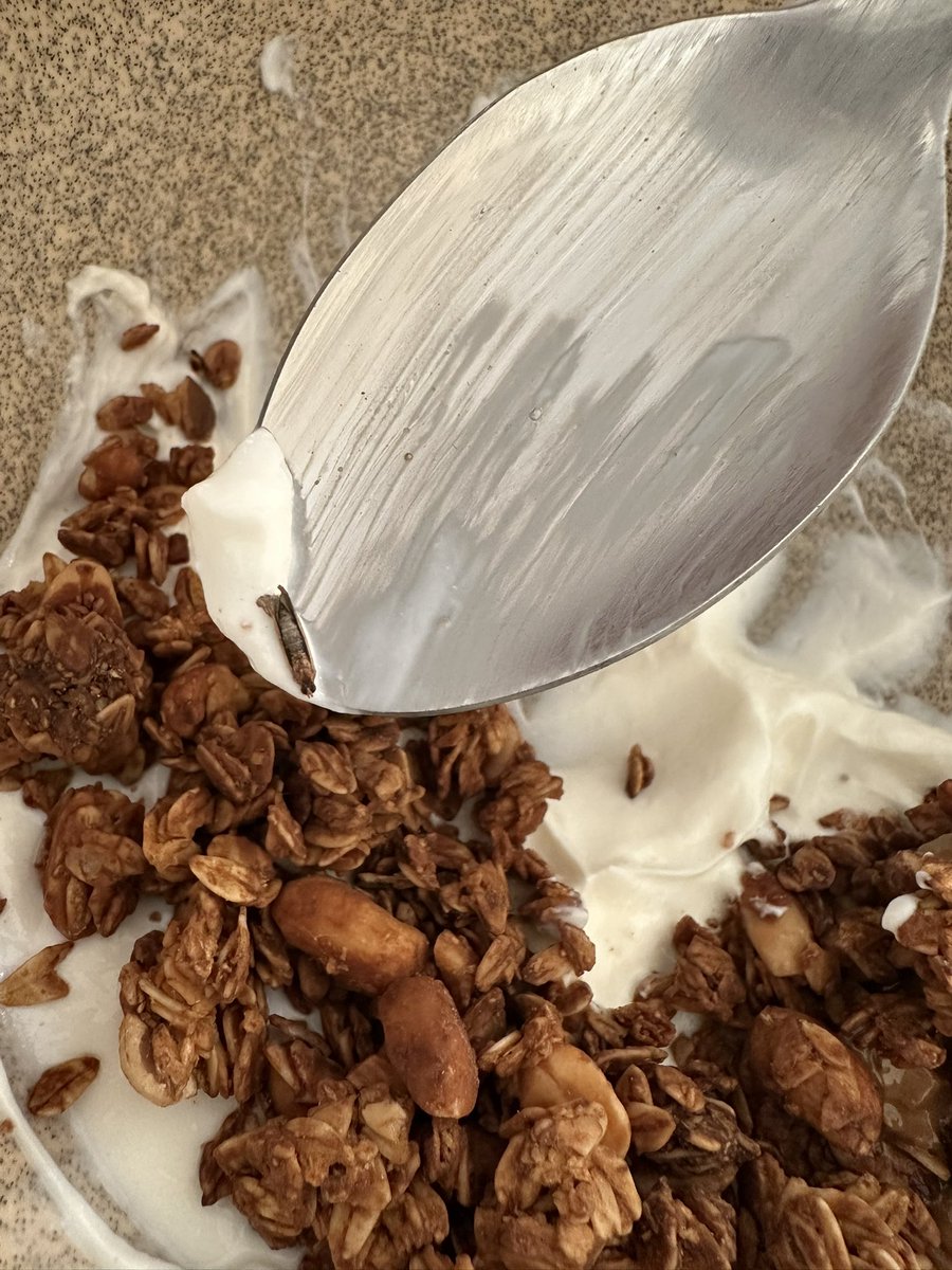 bngsrc's tweet image. . @Fropietr protein olsun diye mi keutulmuş güve kullanıyorsunuz üretimde? Ürünlerinizi bir daha asla tüketmem, paket vs göndermeye kalkmayın. İnsanları uyarmak için bu gönderiyi paylaşıyorum. Bunun affı yok.