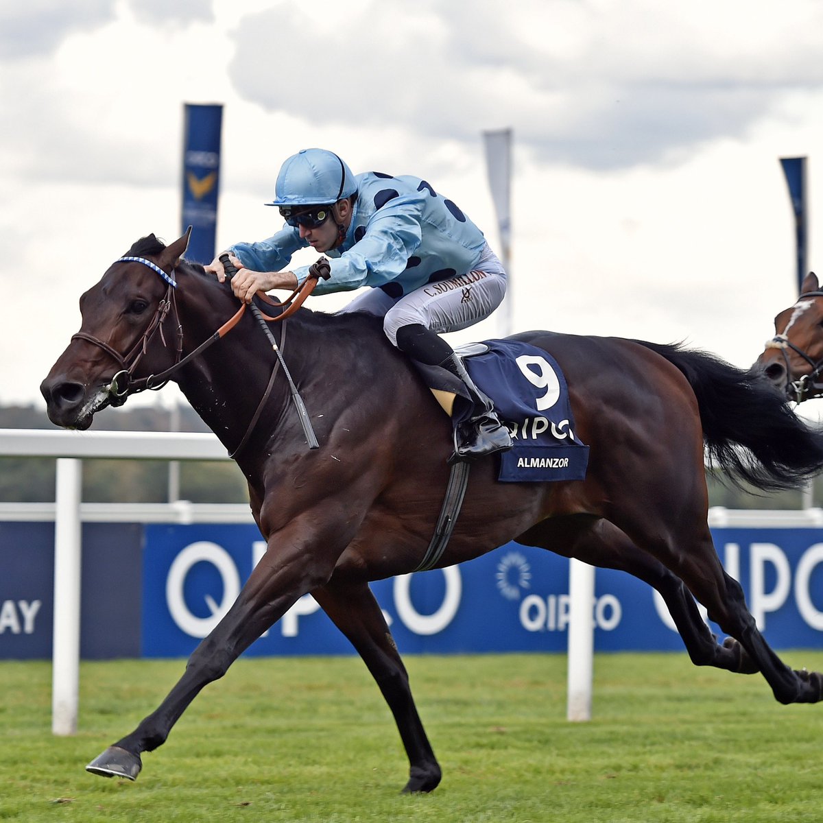 Remembering the exceptional Wootton Bassett, a remarkable stallion who sired two stunning winners of the QIPCO Champion Stakes - Almanzor and King Of Steel❤️
