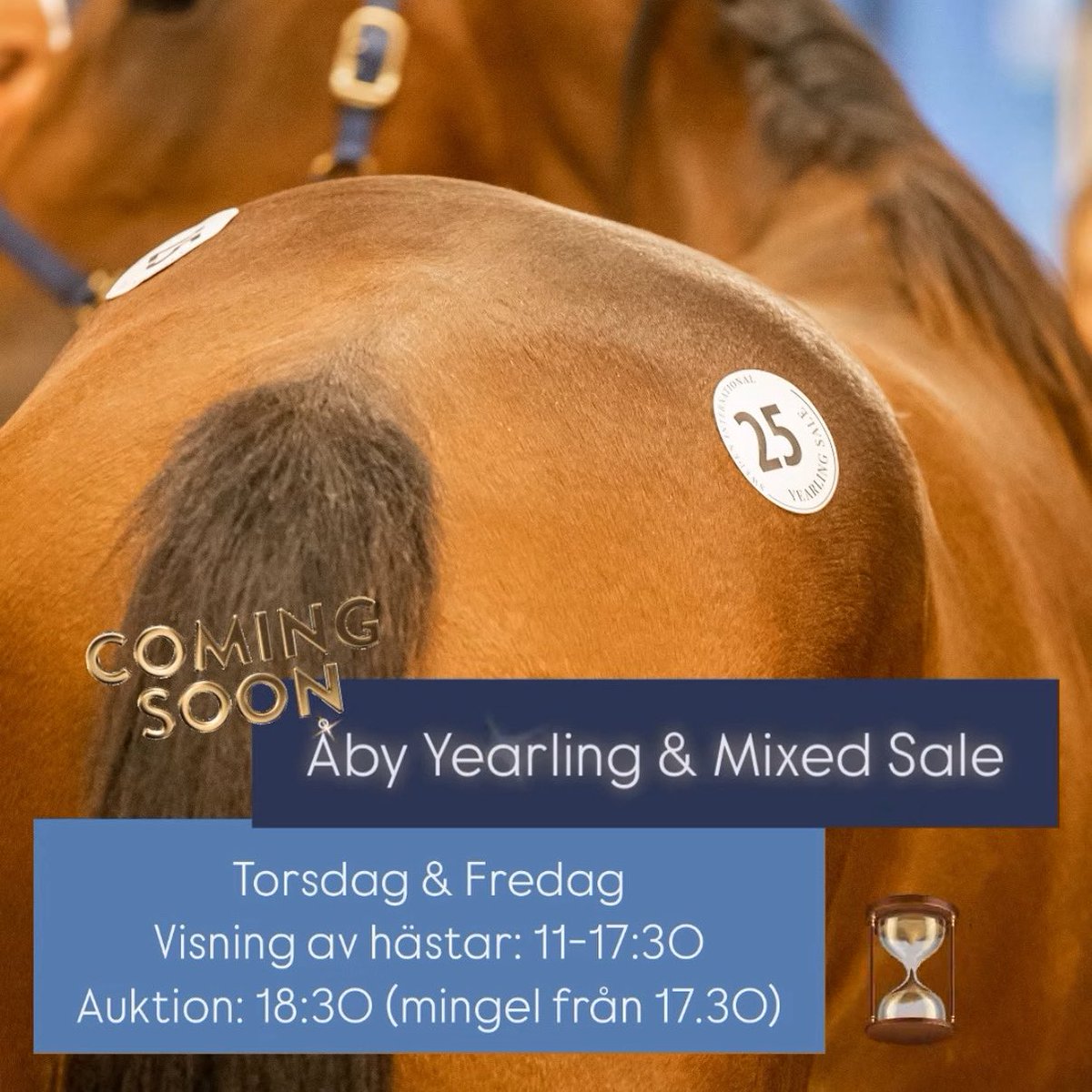 Två dagar kvar till Åby Yearling &amp; Mixed Sale. Har du inte bokat bord till auktionsmiddagen så är det dags nu. Vi har fyra bord kvar &amp; först till kvar gäller.

Hoppas vi ses på Åby! 🐎💫