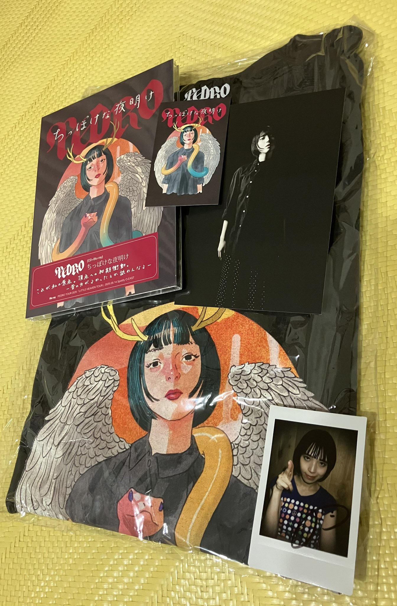 Bish PEDRO サイン ポスター アイナジエンド アユニD サイン入り Bish PEDRO サイン ポスター アイナジエンド アユニD サイン入り