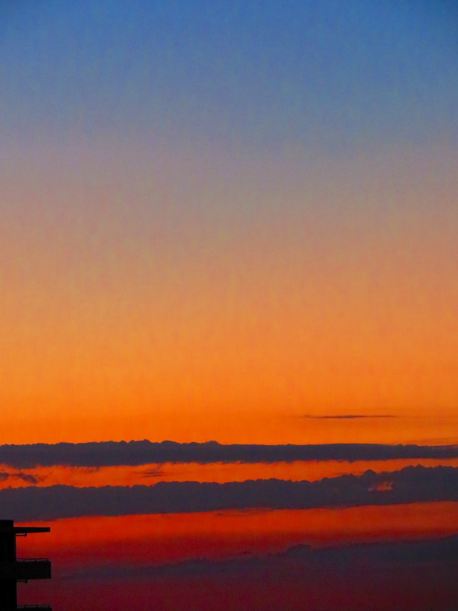 荒木健太郎 on X: 