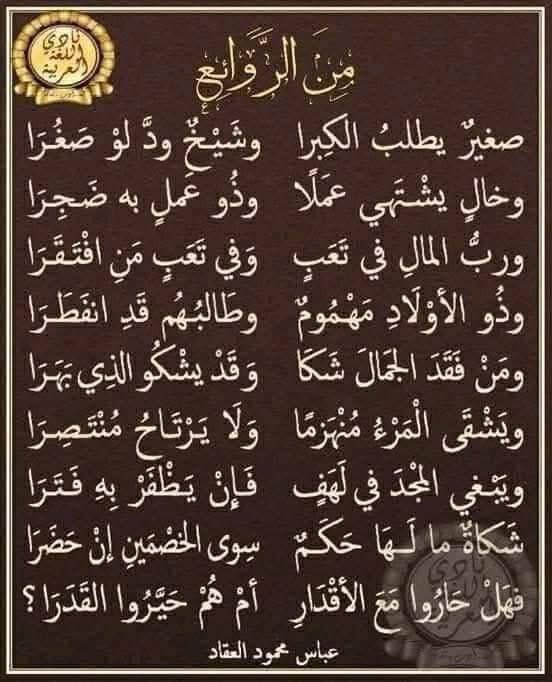 #رسالة_لقلبك 
#لغتي