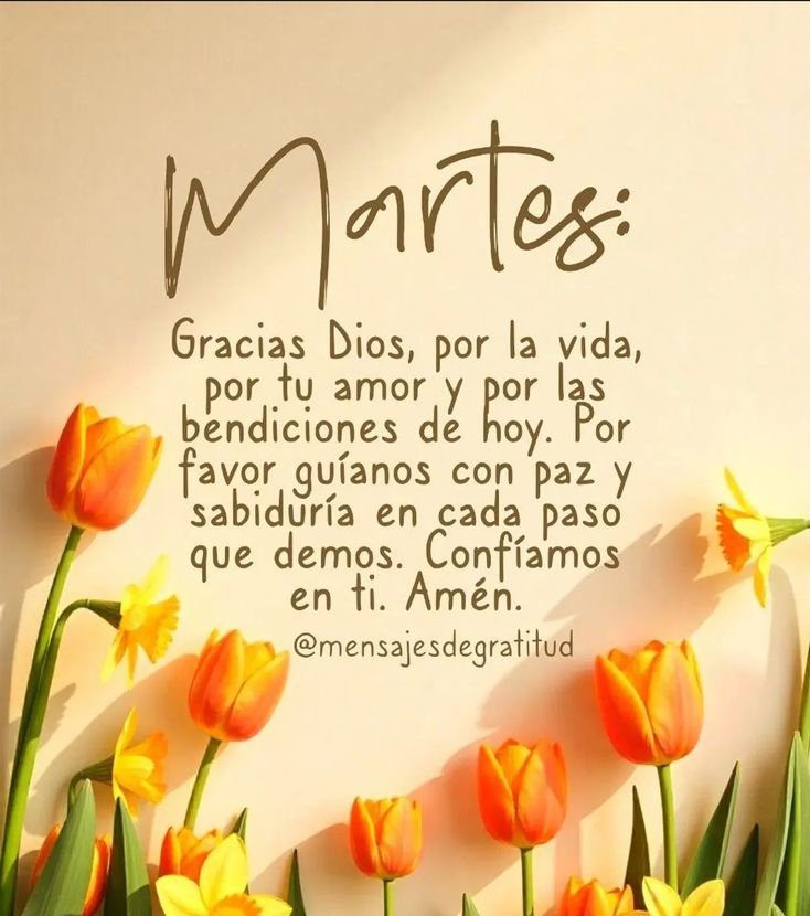 oracion_diaria's tweet photo. https://t.co/uyUU1x4NJk