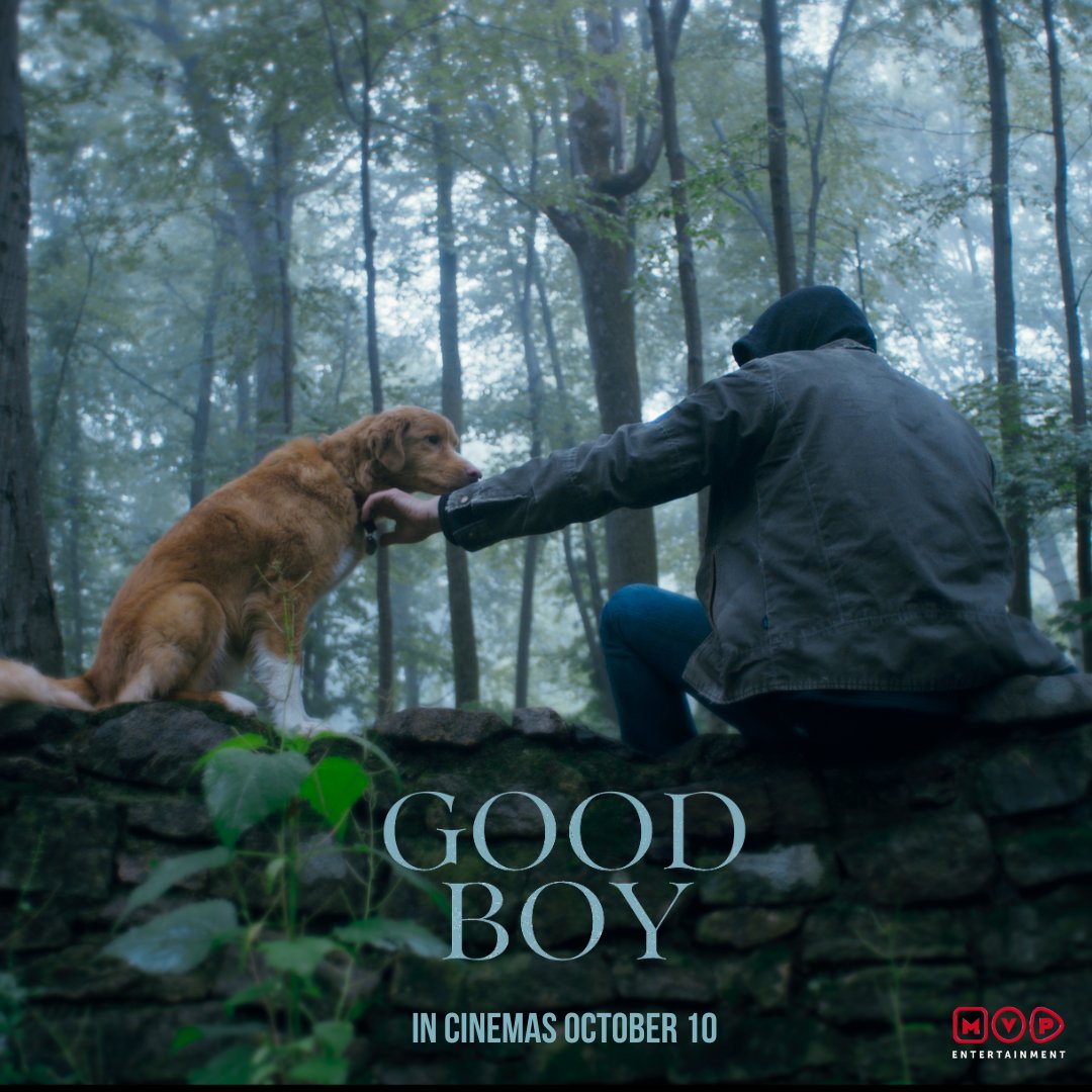 He came with love. He stayed with loyalty.
But when dark forces rise… he becomes their worst nightmare.
Don’t miss #GoodBoy, the one-of-a-kind horror dog movie, releasing 10th October in cinemas.

#GoodBoy #newmovie #newrelease #thriller #horror #GoodBoyFilm #trending