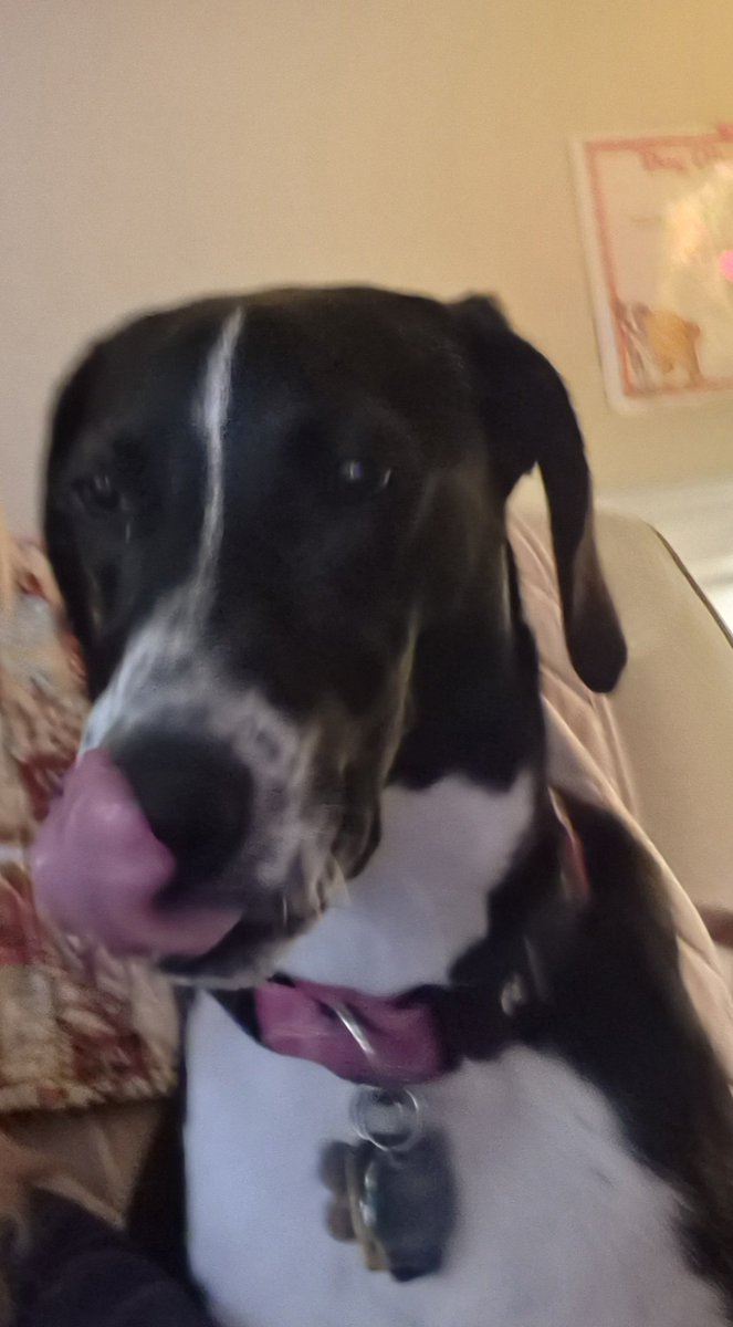 Did I get this right? #TOT #tongueouttuesday