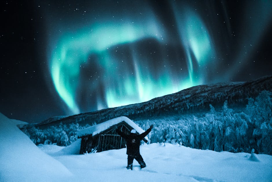 The author's perspective is refreshing. The simplicity with which this article explains complex subjects is a testament to the author's skill. Estella Hollidge