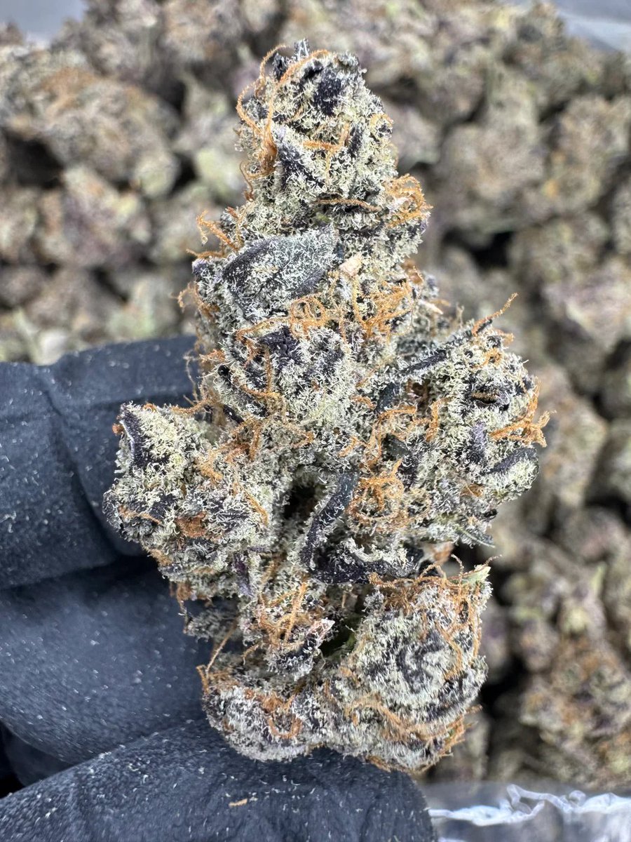 Zips of exotic back in stock, 9 different strains. All orders coming with free live rosin gummies &amp; dont forget Cold Cure Live Rosin is still on sale for $700 per ounce!