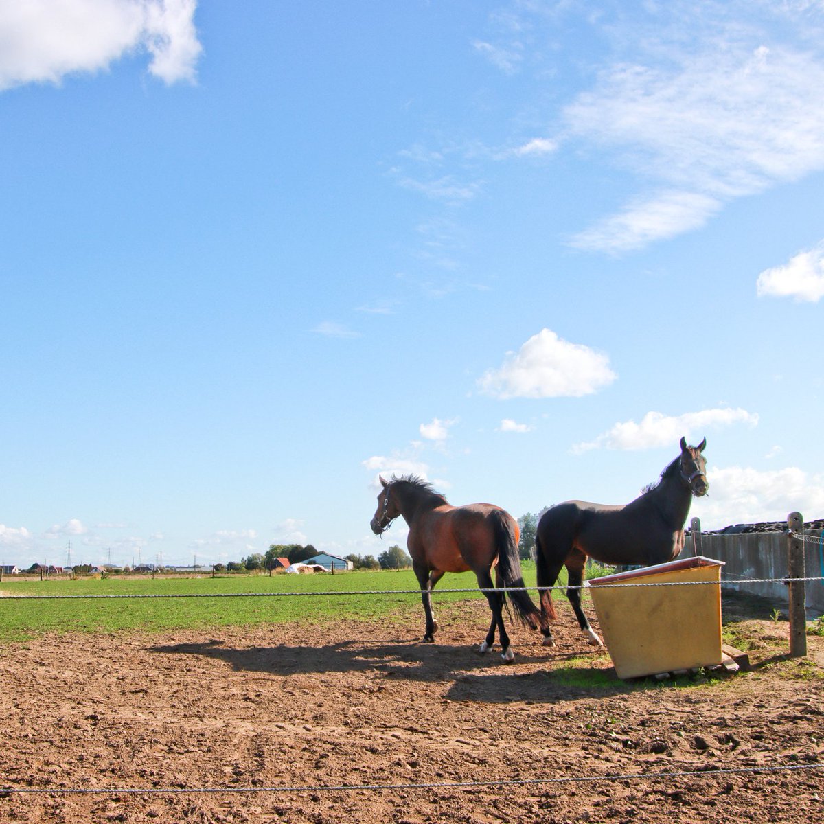 #vrtweer Luc Lambert 11u49 Ardooie wolken  en zon wind  NO 17°