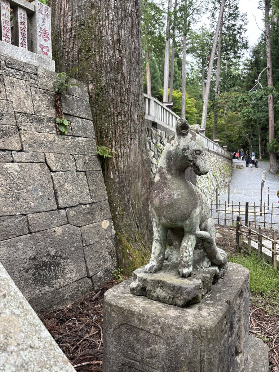 イヌ科大好きの民なので三峯神社に行ってきました🐺