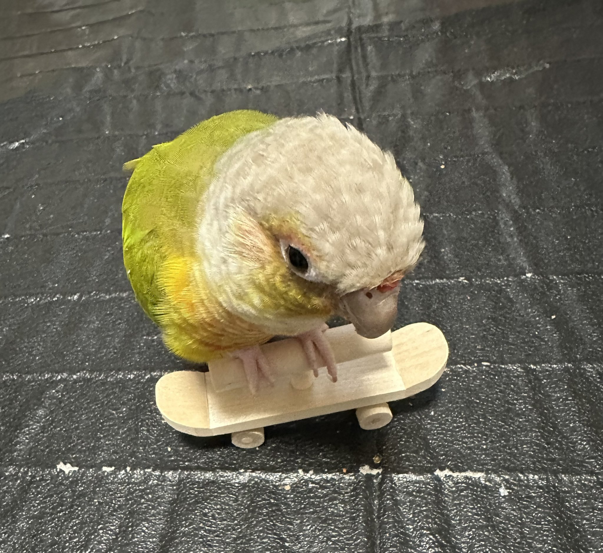 ももちゃん21 on X: 