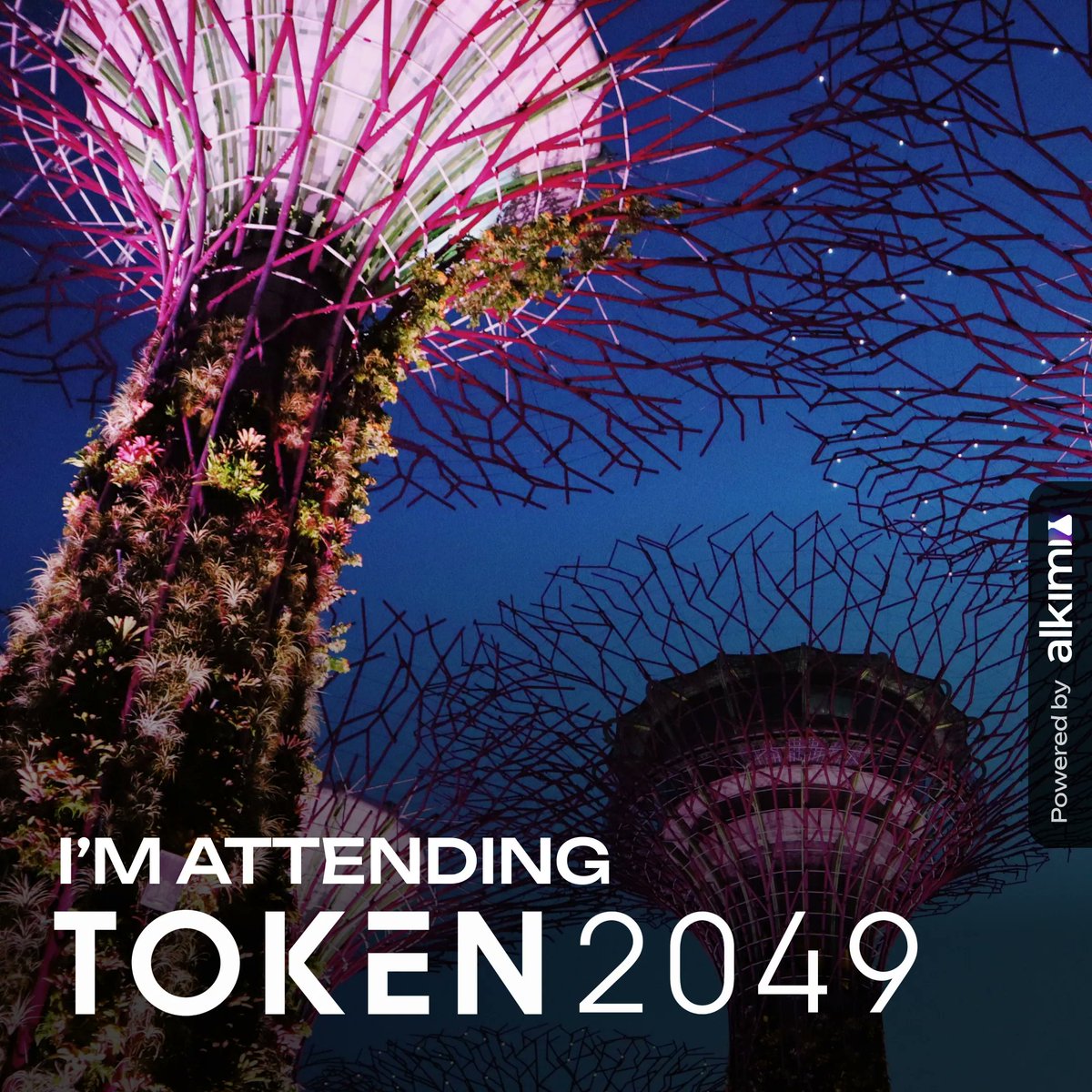Alkimi Exchange (@alkimiexchange) on Twitter photo Upcoming Event Update:
Team Alkimi is heading to Token 2049, Singapore! 🇸🇬
We’ll also be at Sui Fest, colocated with @Token2049, where we’re
co-hosting The Stack Effect with our partners at Sui- A celebration of the Sui ecosystem and the innovators building on it.
Alkimi, Upcoming Event Update:
Team Alkimi is heading to Token 2049, Singapore! 🇸🇬
We’ll also be at Sui Fest, colocated with @Token2049, where we’re
co-hosting The Stack Effect with our partners at Sui- A celebration of the Sui ecosystem and the innovators building on it.
Alkimi,