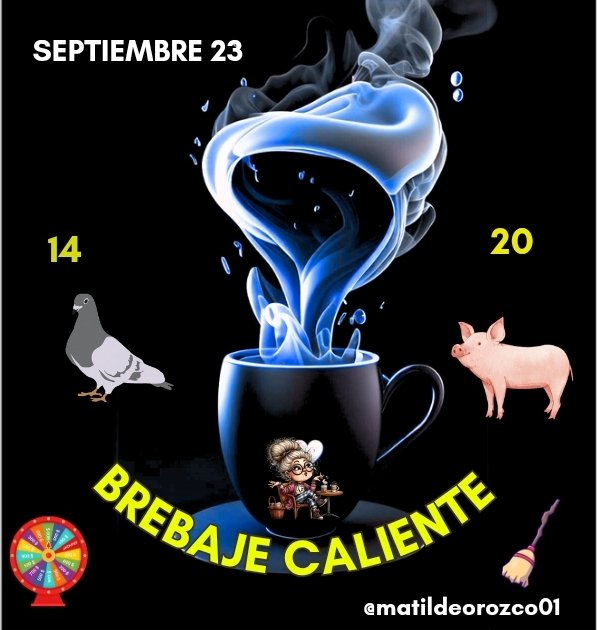 La paila ardiendo con el 🔥BREBAJE CALIENTE🔥 de hoy 23-09 ÉXITOS Y  MUCHA SUERTE 🍀🤞🏻🧹#animalitos  <a href="/lotohipico/">A seguir LOTO HÍPICO - ¡GANADORES! #VENEZUELA</a>