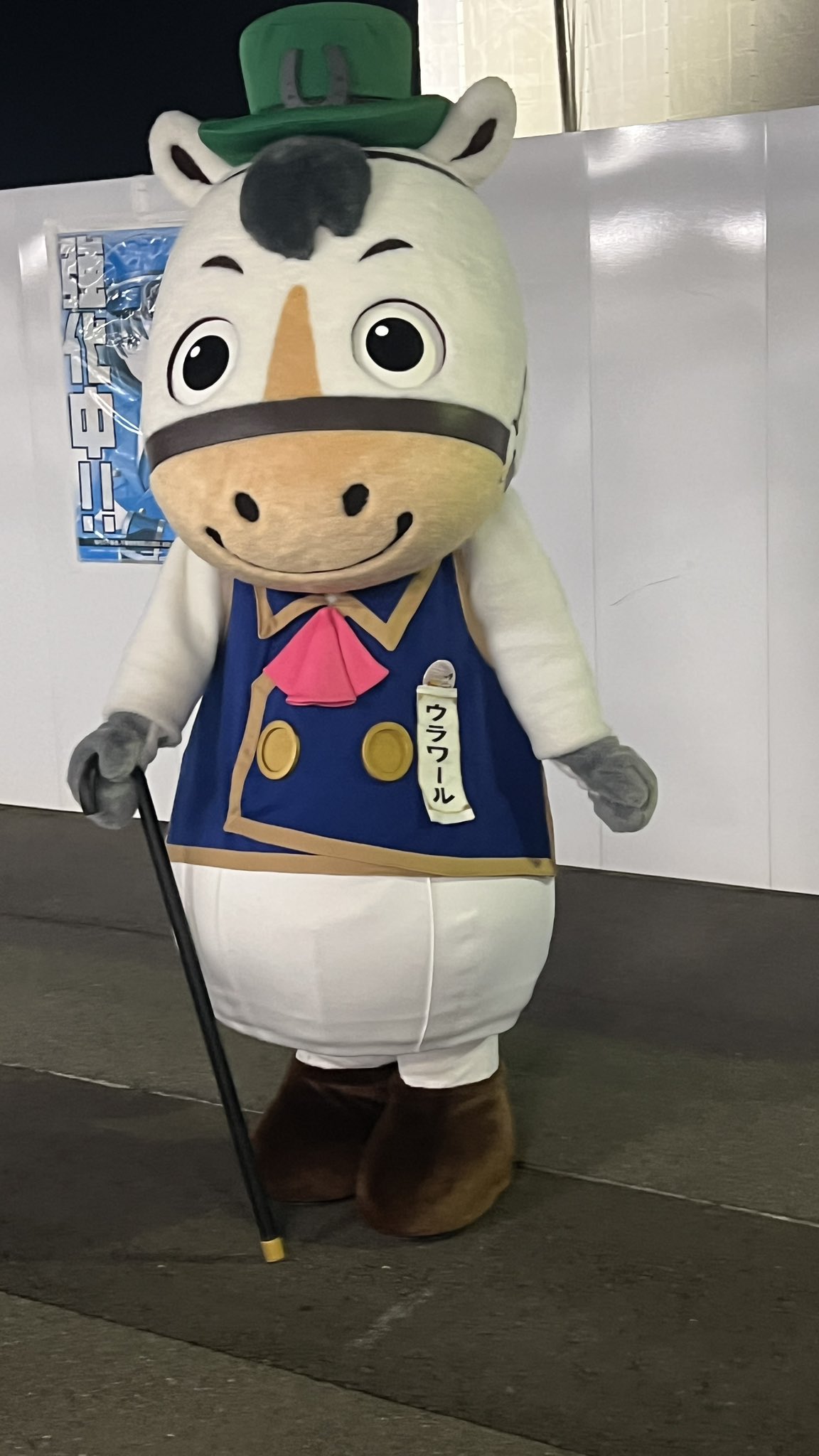 ZB1  ジャンハオ 中国 中華 マカオ 入場特典 ZONE Day1+Day2 ZB1 ジャンハオ 中国 中華 マカオ 入場特典 ZONE 11/3 Day2