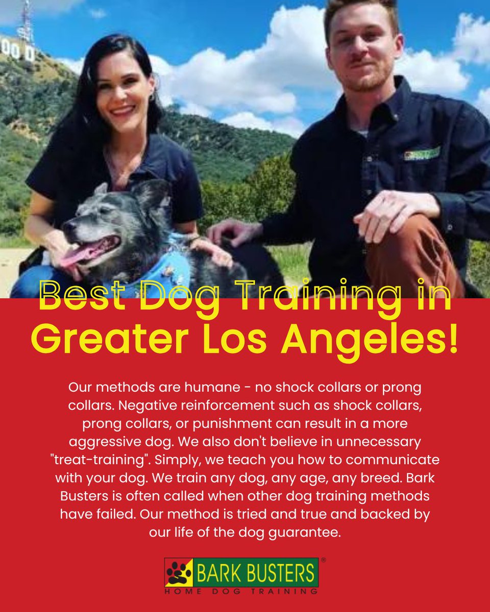 barkbusterla's tweet image. 🐶🎉 Frustrated with barking, jumping, or pulling? We’ve got the solutions—and we bring them to your living room! 🏡🐾 barkbusters.com/dog-training/g…
 #DogBehaviorHelp #PawsitiveChange