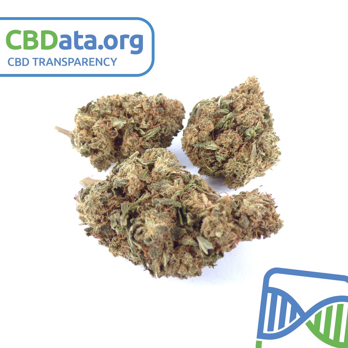 CBDataOrg's tweet photo. 🧬 CBData Update 🧬

🌱 Orangello CBD Wiet
➕ CBD Gehalte - 7,87%
➖ THC gehalte - 0,19%

🔖 COA Certificaat - https://t.co/u0RT17buhC

💰Hier te koop - https://t.co/6bwAyfuhmk

#CBD #CBData #Orangello #Wiet #Weed #Cannabis #Hasj #Hash #Bloemen #Flowers https://t.co/M28X4fLyNl
