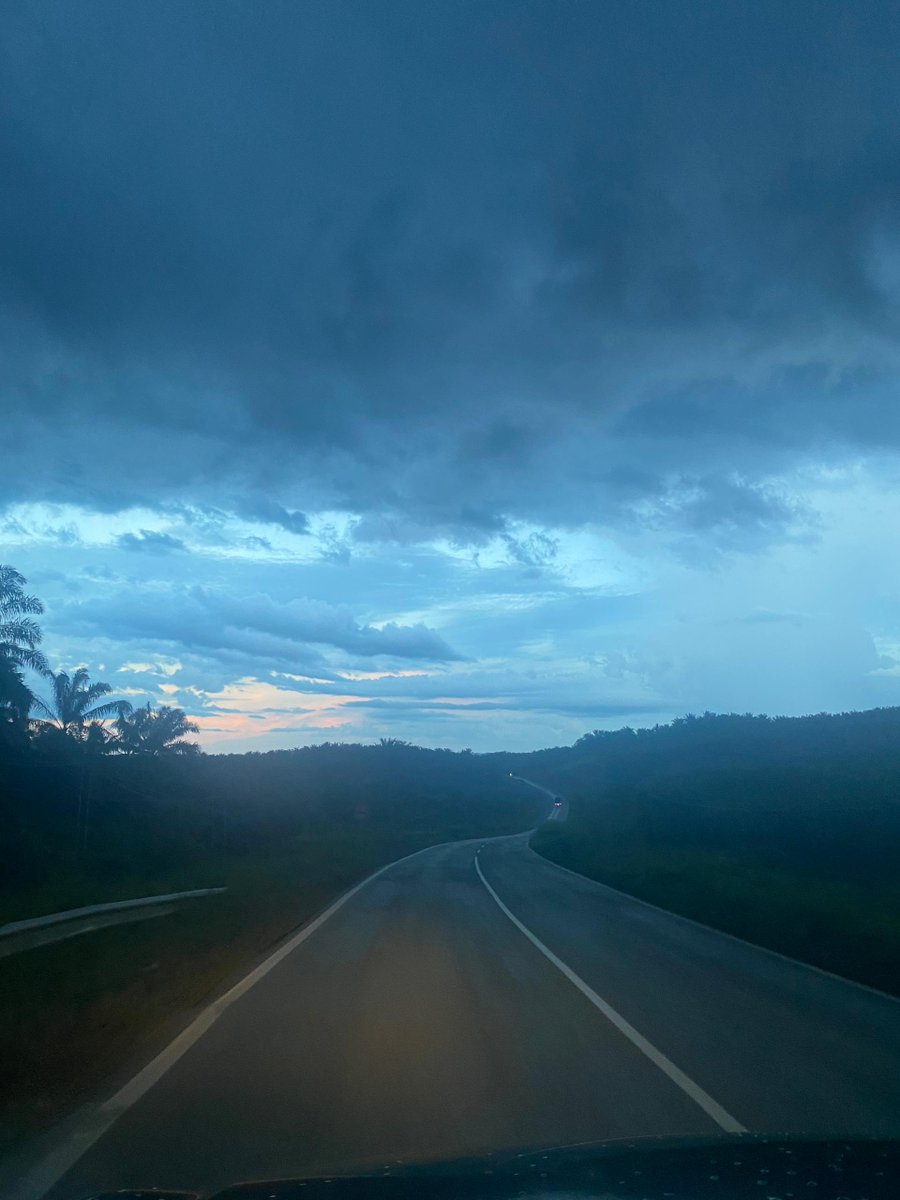 Mama Lisa tweet media