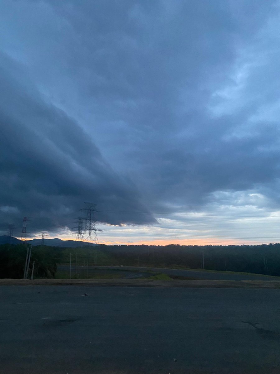 Mama Lisa tweet media