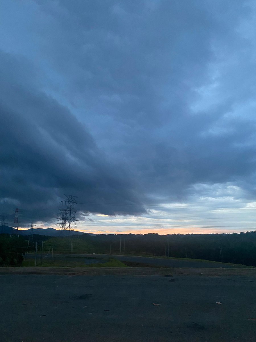 Mama Lisa tweet media