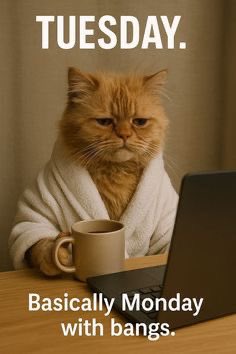 Good morning ☀️☕️