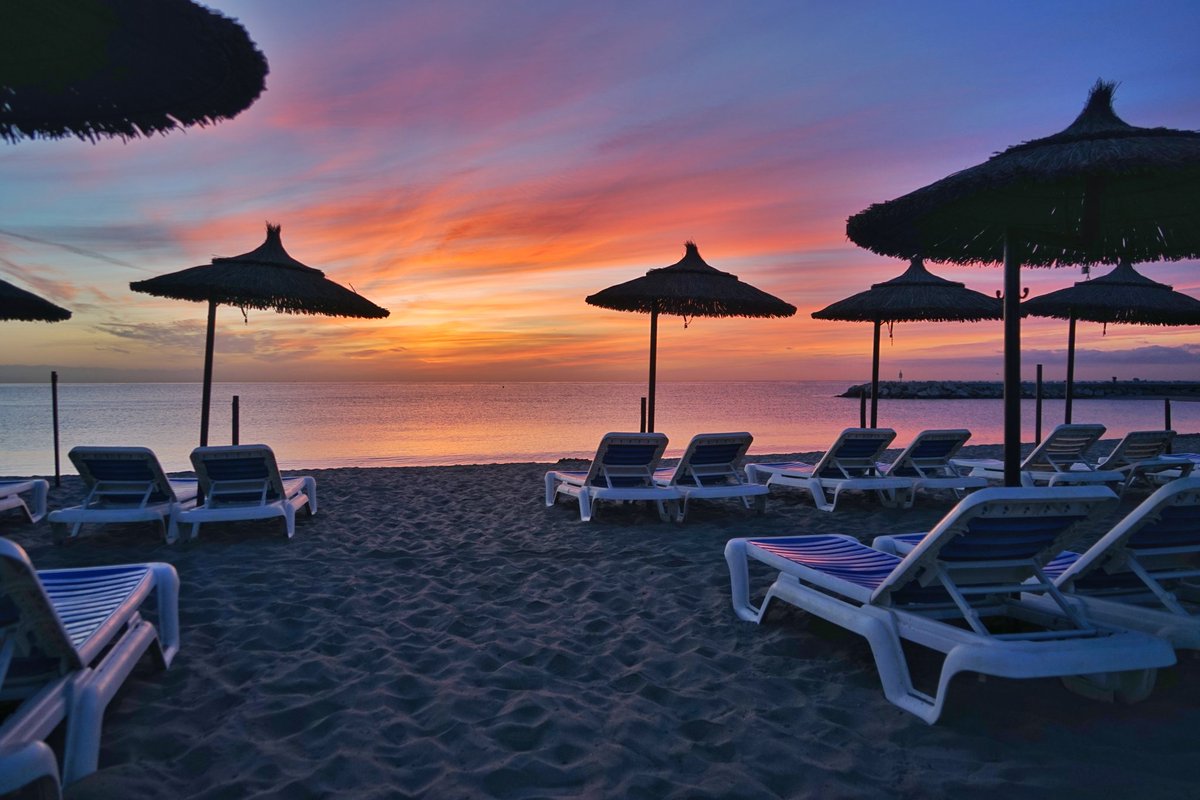 Mari Cortés tweet media