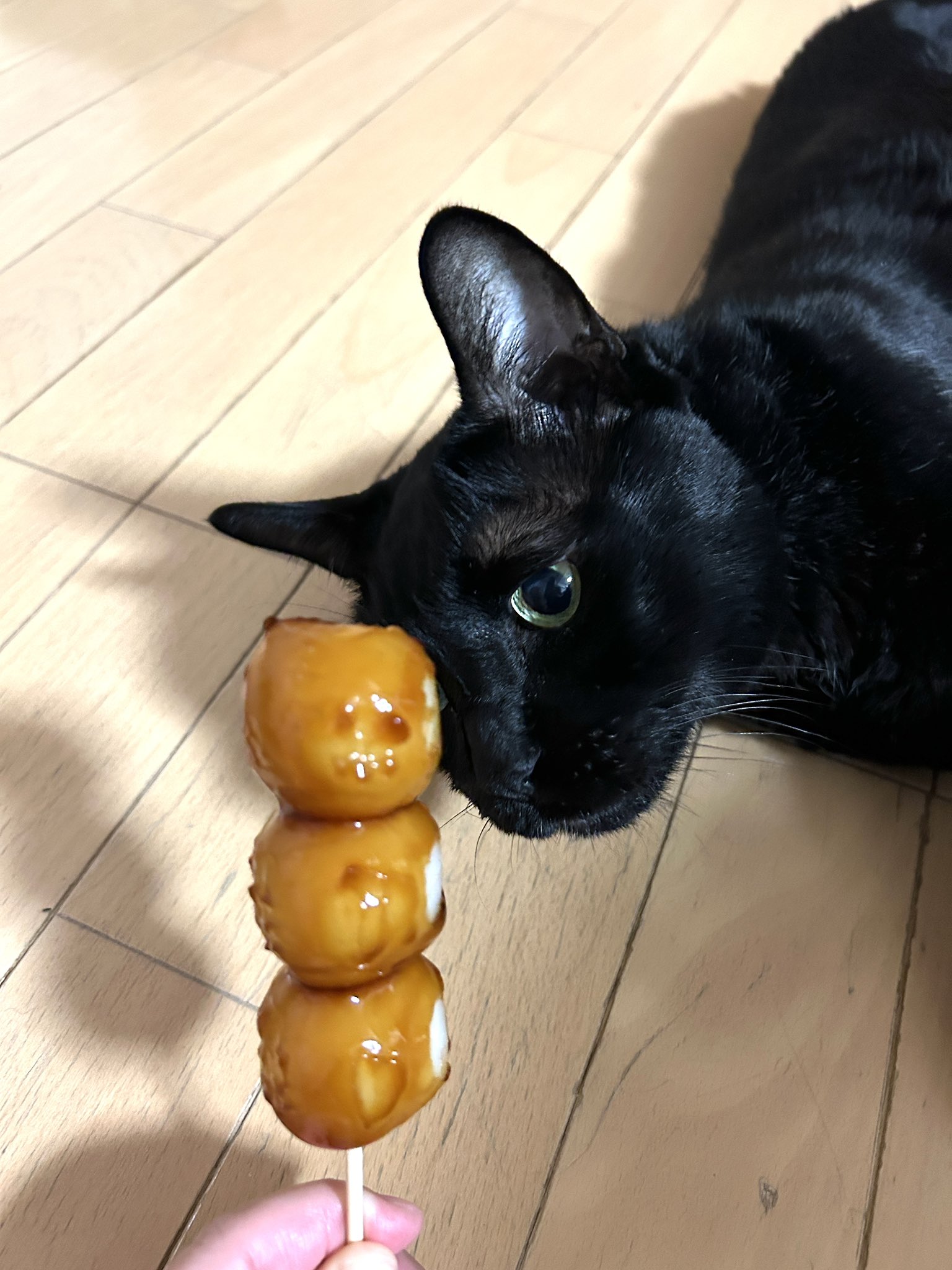 かずよん🐈‍⬛黒猫りゅう🔜9/23・そうさくマーケット3階わ09ab