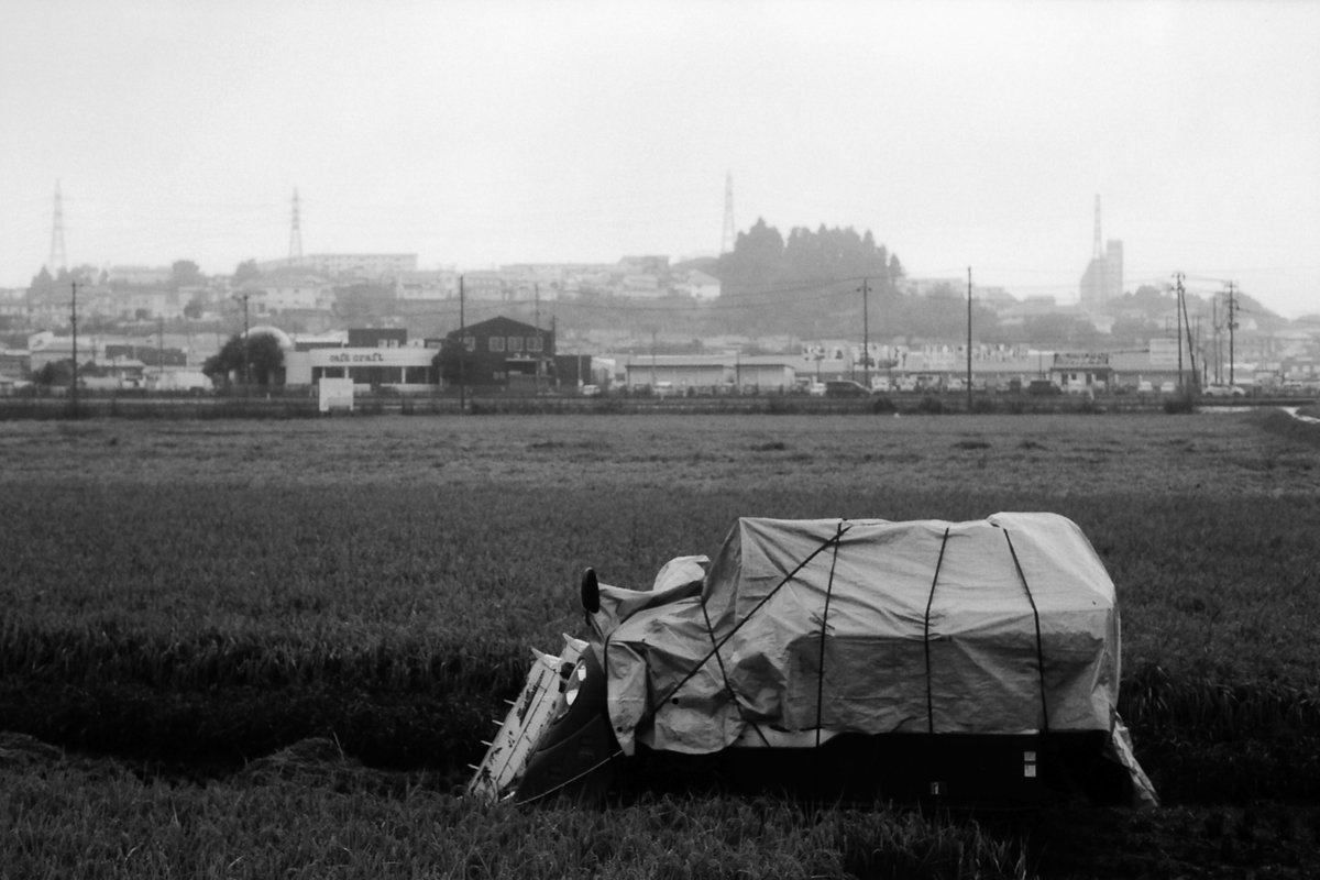 yukihay01339636's tweet photo. 収穫の時を待つ
#foma #fomapan100 #adox #fx39 #smc_pentax_a (50mm f2) #pentax_me https://t.co/FzLFKGJ7CL