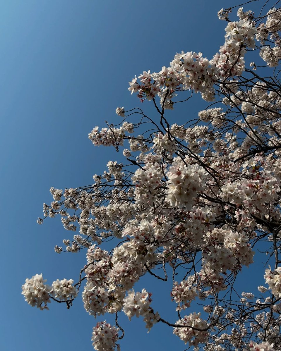 ‘open.spotify.com/track/1IdM9JrX…’