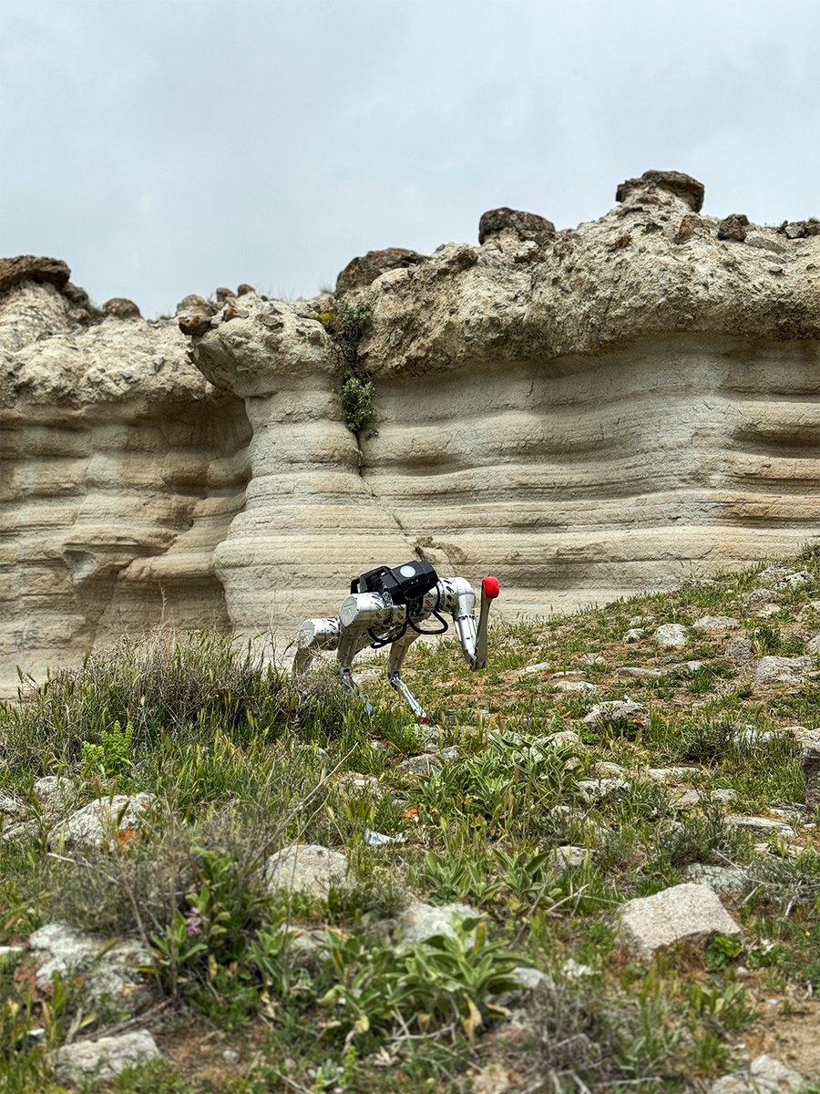 Akinrobotics's tweet image. Rugged terrains, steep slopes… Arat is always on duty!
Kayalık araziler, dik yamaçlar… Arat her yerde görev başında!
#robot #quadrupedrobot #arat #robotdog #akinrobotics