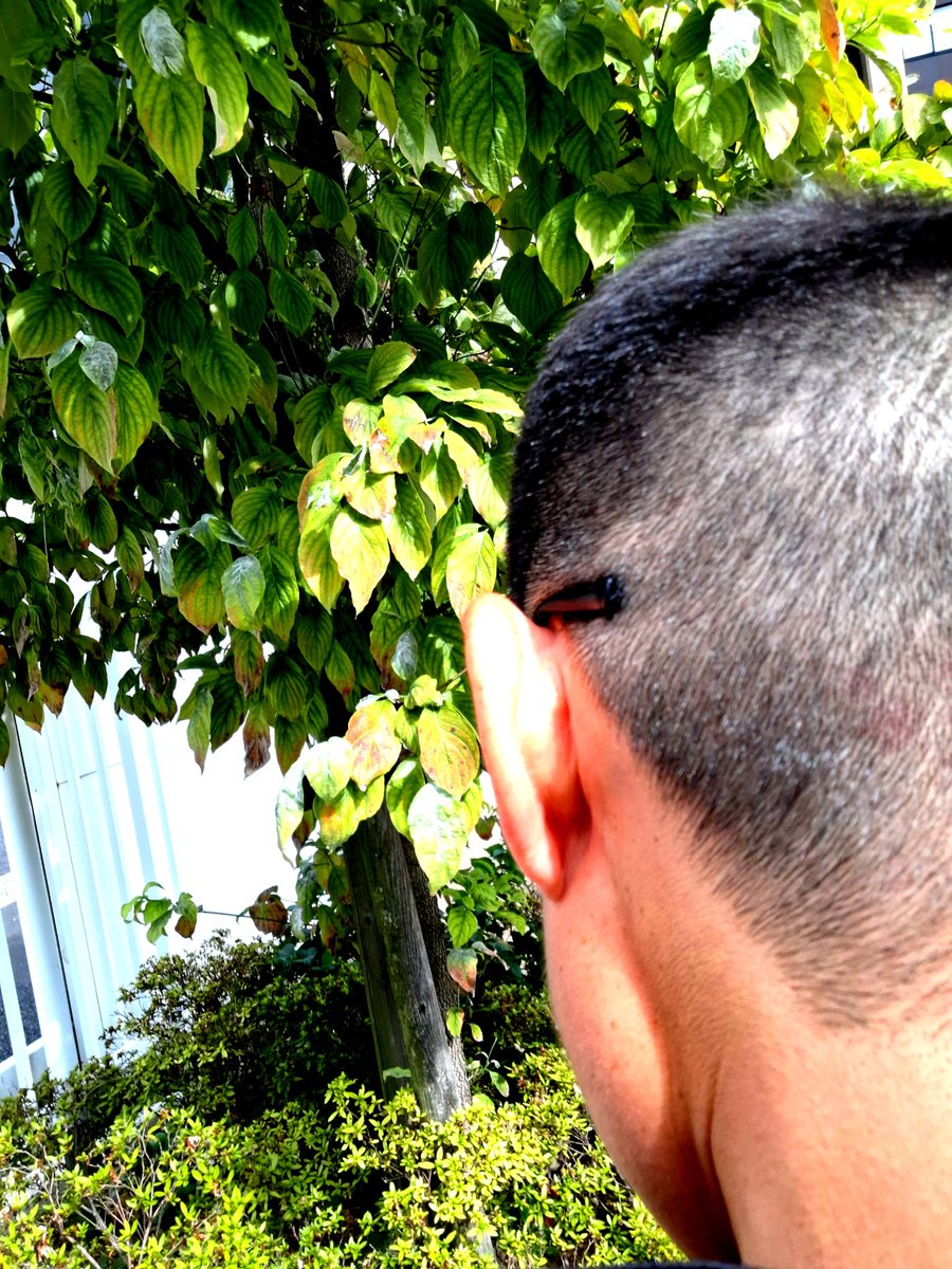 髪切りました～💈