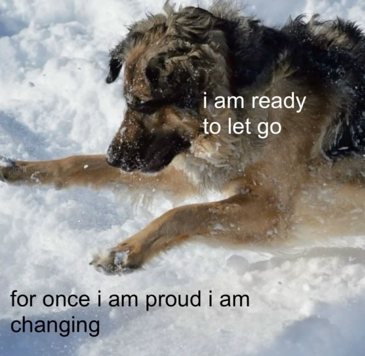 ⋆˙⟡ Cancer, Scorpio, Pisces ⋆˙⟡

⋆˚ a message for you ⋆˚