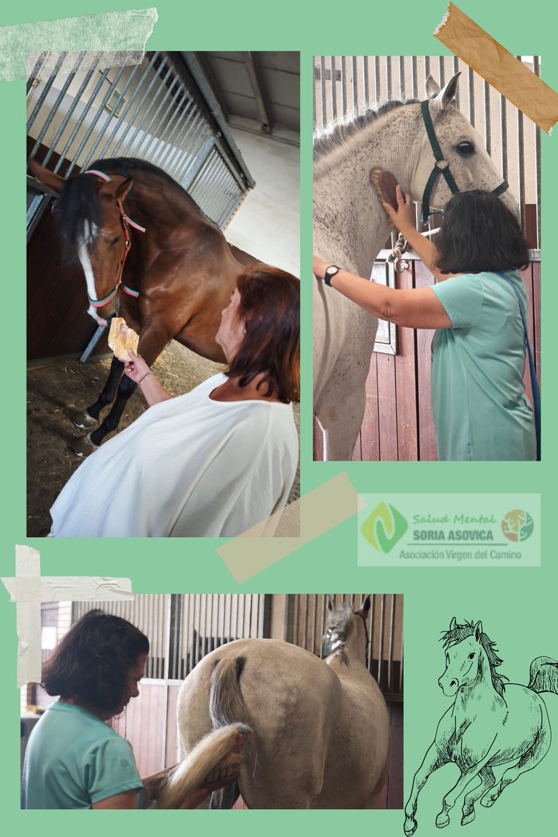 ✨ Este fin de semana disfrutamos de una actividad diferente ✨Visitamos la Cuadra El Real y tuvimos la oportunidad de dar de comer, peinar y acariciar a los caballos 🐴💙.
Gracias a Pablo por hacerlo posible. @caballoselreal
#SaludMental #ASOVICA #Actividades #cuidatusaludmental