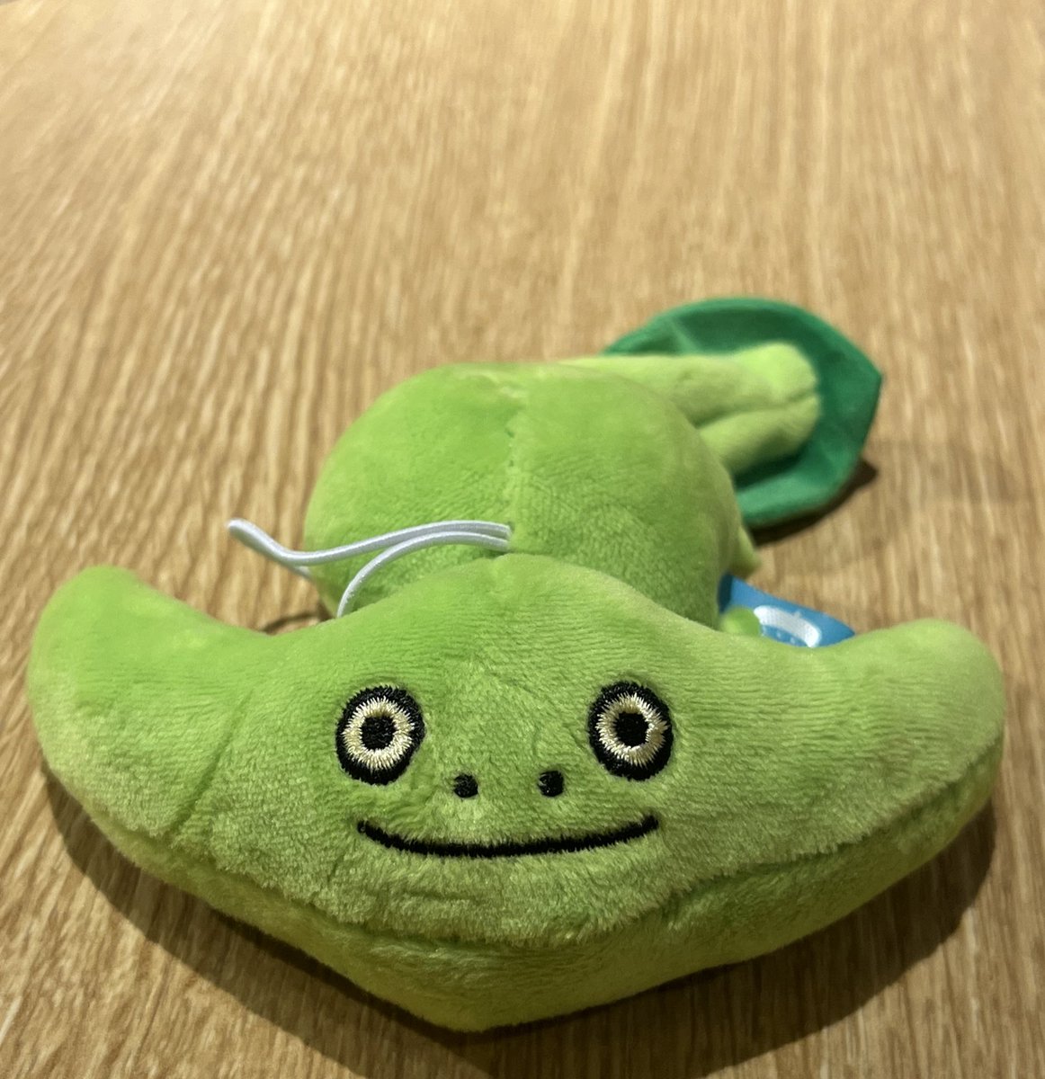 shindo_fossil's tweet image. 