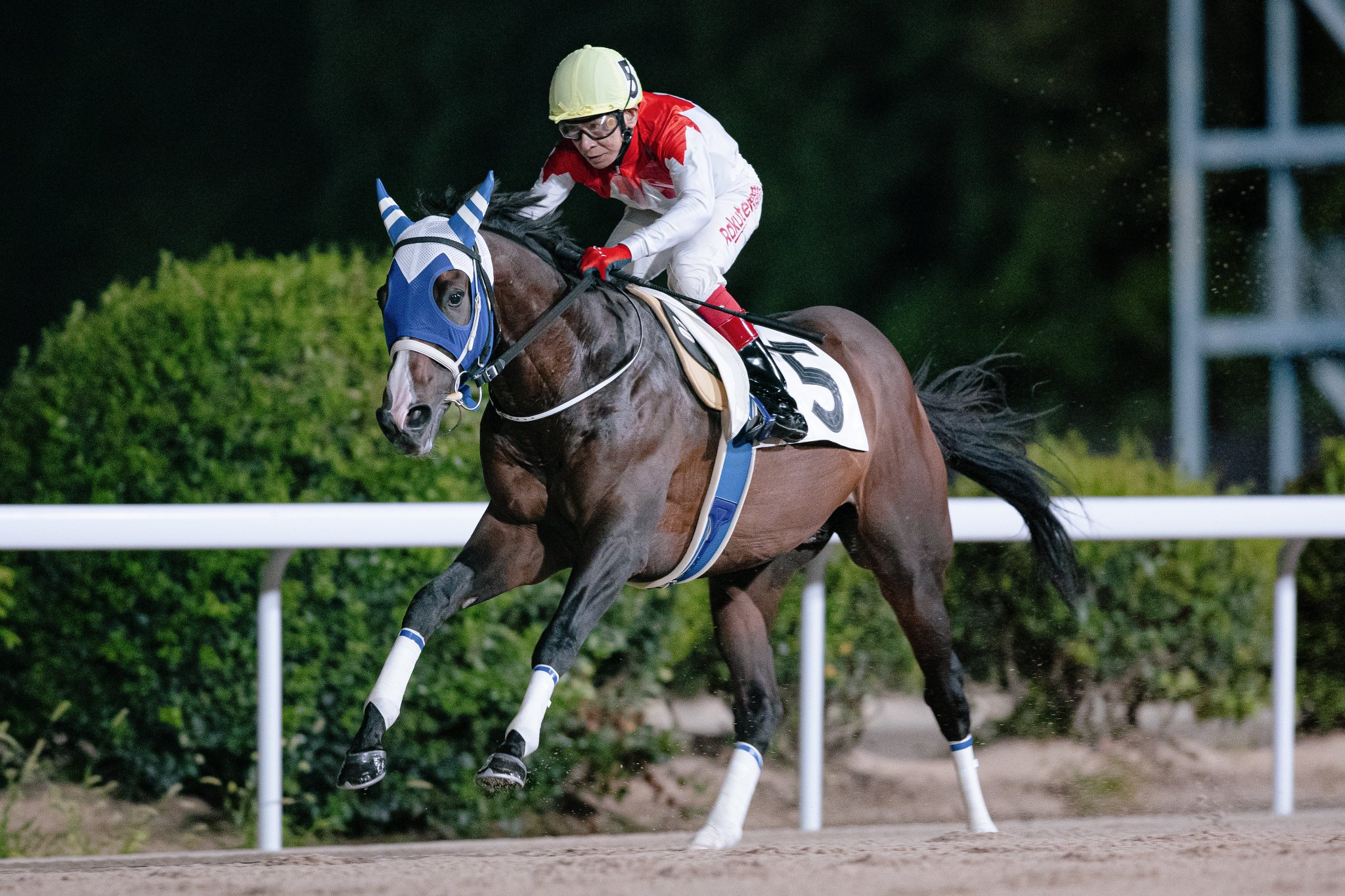 ❤️８万円分❤️関西＆関東❤️競馬・四季報★春夏秋冬★大量セット❤️データ集 でめきん on X: 
