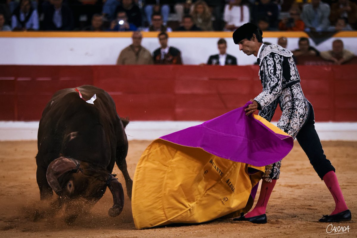 Moita 20/9 

📸 Miguel calçada 
#tauromaquia