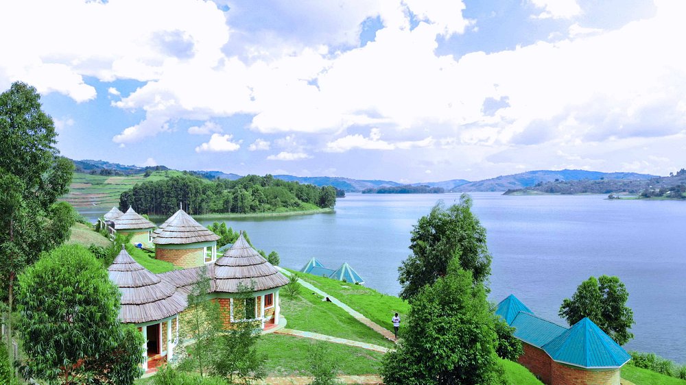 by_stays's tweet photo. π Escape to Kabale! Discover cozy, affordable stays with stunning views of the hills. Book your stay today with https://t.co/IBznr0BexW #ByStays #KabaleStays #UgandaTravel #BookAccommodation
Link to stay: https://t.co/Rv2YmMPqaU https://t.co/AKC5nYUIjz