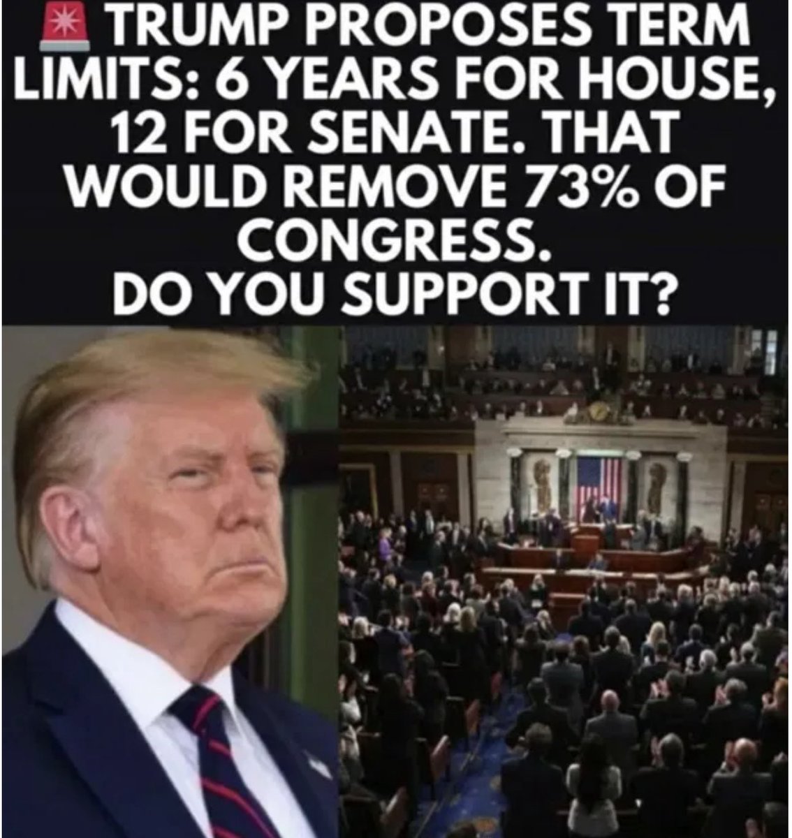 Is everyone ok with this? 🙋‍♀️