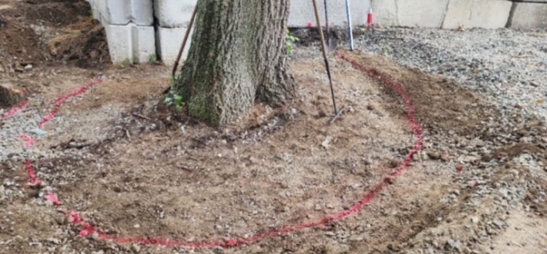 OLDENEGRANITE's tweet image. Reclaimed Granite Slope Curbing for Tree Well Walls.
oldenewenglandgranite.com

#GraniteSuperstore #OldeNewEnglandGranite #Antiquegranite #reclaimedgranite #hardscape