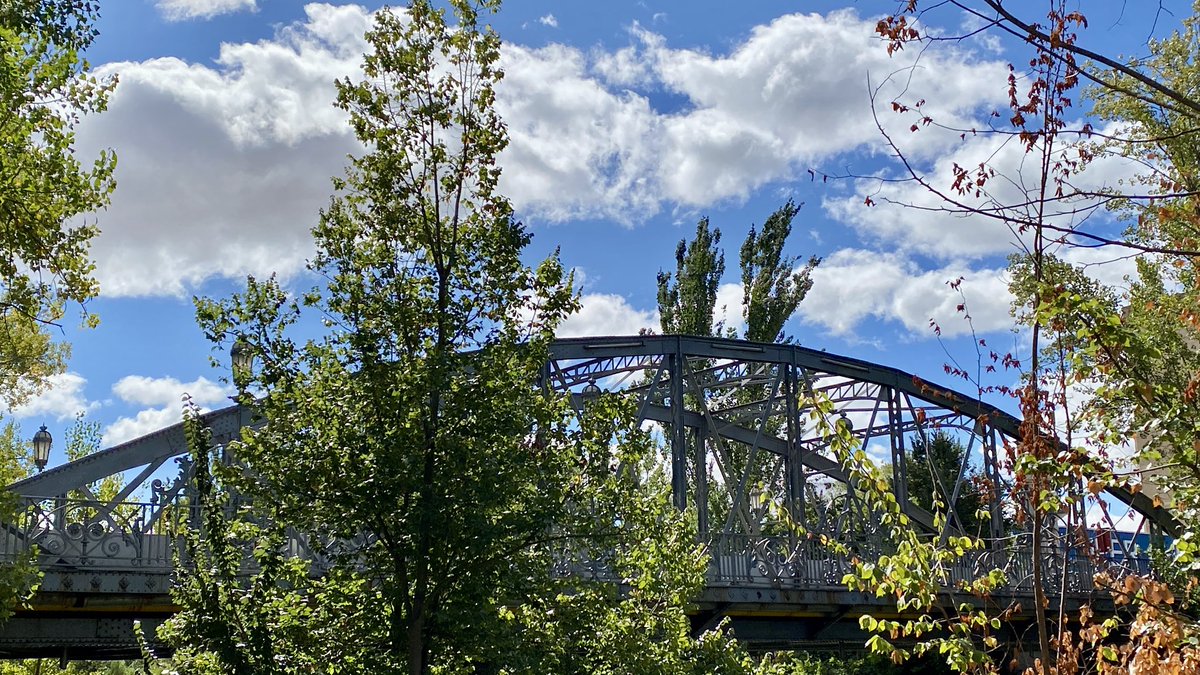 Jesús Pedro Rodríguez Herrero🌾🌻 tweet media