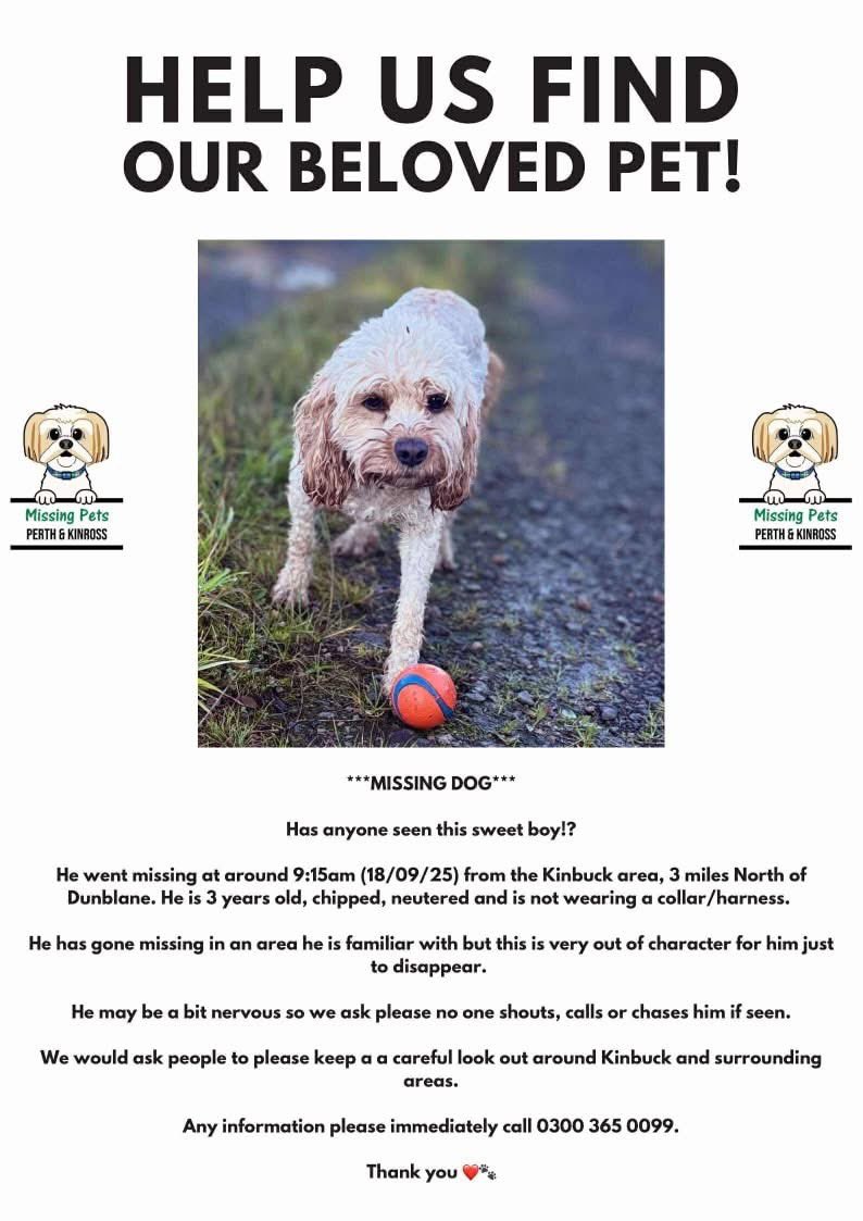 Lost Kinbuck, Dunblane. 😢 
Would you please share <a href="/andy_murray/">Andy Murray</a> <a href="/CromlixHotel/">Cromlix</a> <a href="/JudyMurray/">judy murray</a> 🙏🏻