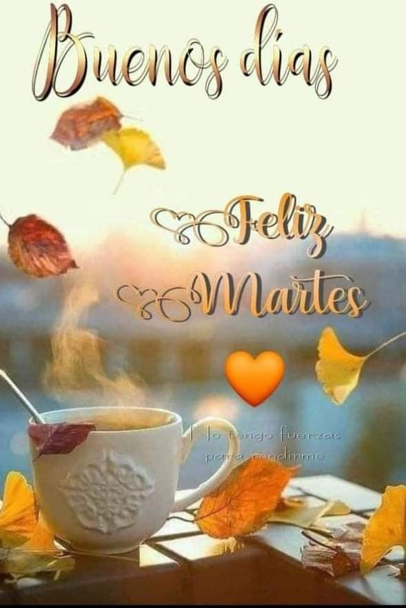 <a href="/audelinasuarez/">LAGOCHA42</a>