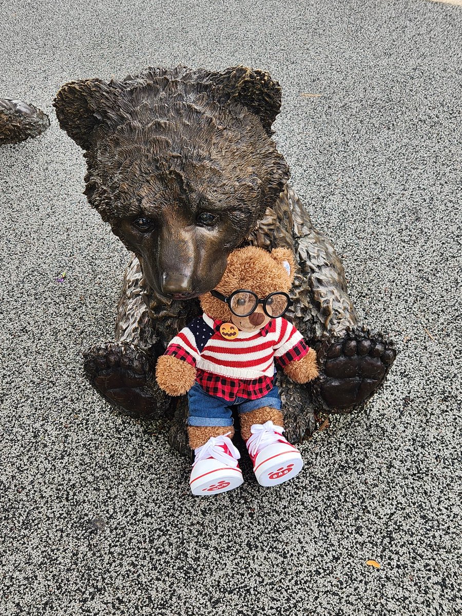 Teddy Bear Lucas meets some bears. #teddybearlucas