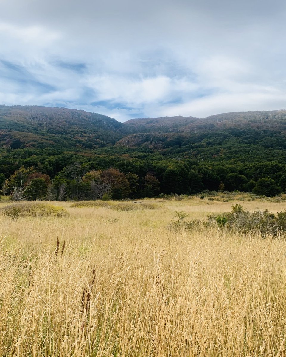AustralisEXP's tweet image. 🌞🌸 Spring equinox is here!
The southern hemisphere welcomes longer days, blossoming landscapes and nature at its most beautiful, inviting you to discover it in all its splendour. 🌿

📷: Rafa Pérez
