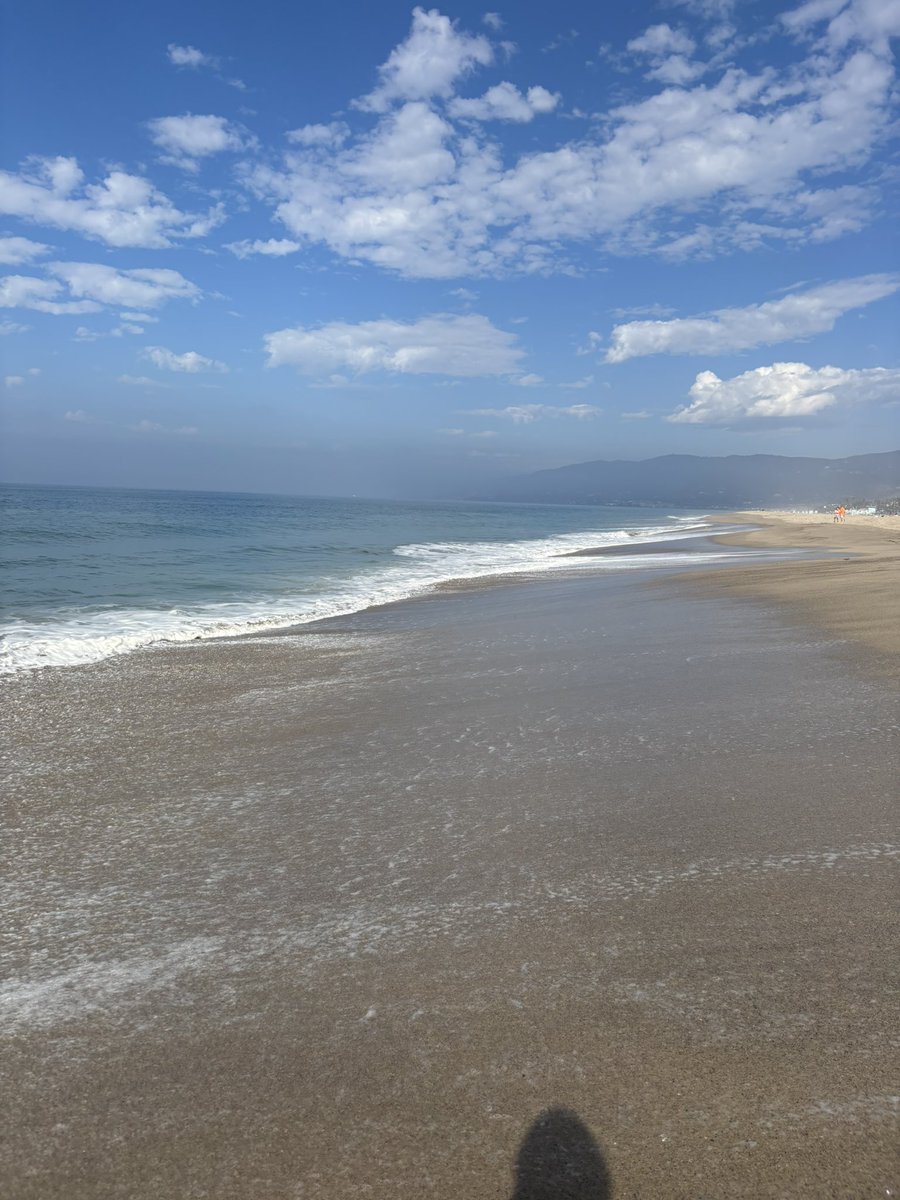 ale-peño 🌶️ tweet media