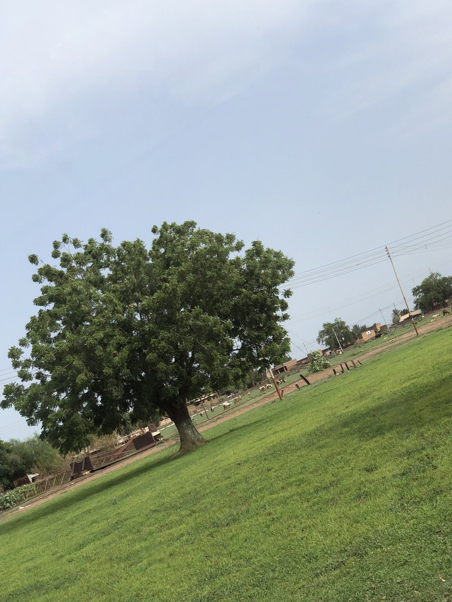 untitled 07 | 2014 - 2016 (@mvzinb) on Twitter photo 