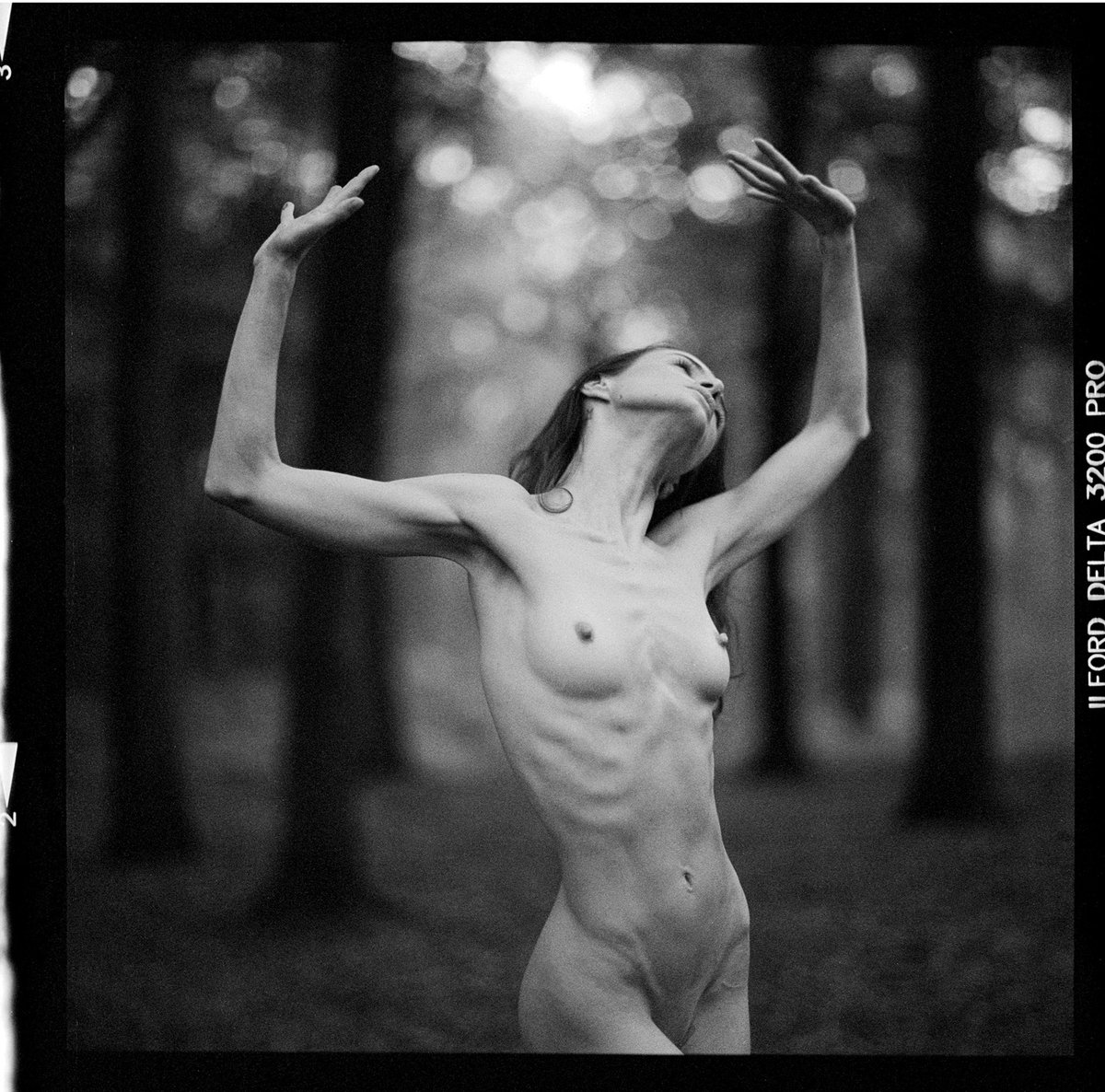erotica_arte's tweet photo. Follow @frank_fyan for stunning nude art on 35mm and 120 film 📸🎞️ https://t.co/7K4tvDykId