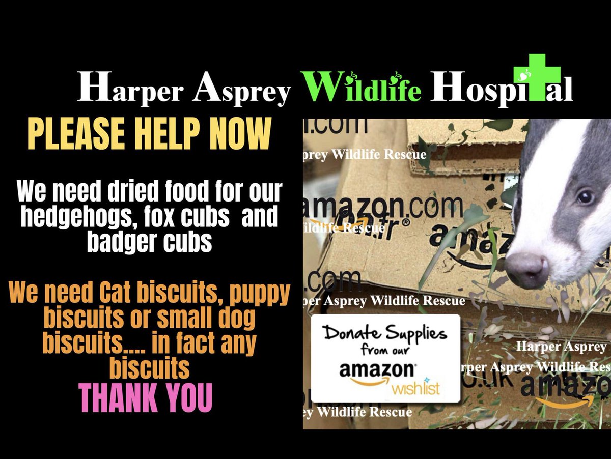 PLEASE HELP we  are short of newspaper, syringes  and puppy pads. we use syringes for treatments in our surgery. THANK YOU 
You can order from our amazon list or simply drop off at the rescue - we are ready &amp; waiting x
amazon.co.uk/.../1HW.../ref…