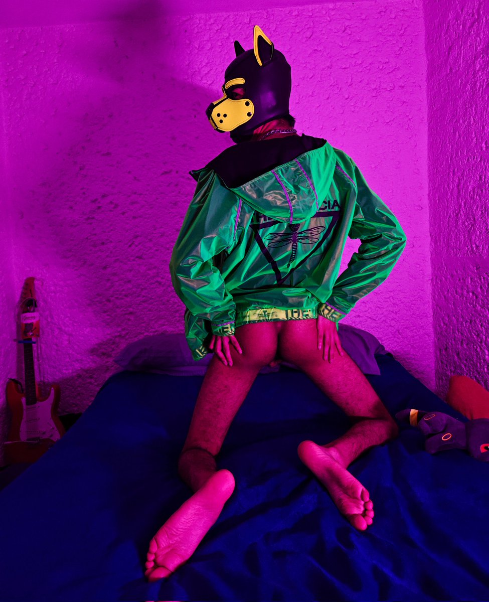 Don't be shy, boy, I don't bite 🐶🐾💛