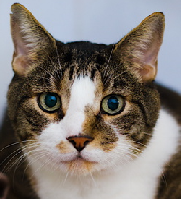 Jack5928 tweet media